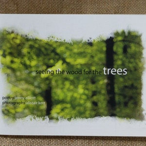 vedendo il legno per gli alberi