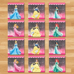 Disney Princess Match Party Game - Chalkboard - Disney Princess Match Game - Princess Party Activity Game - Princess Party Printables