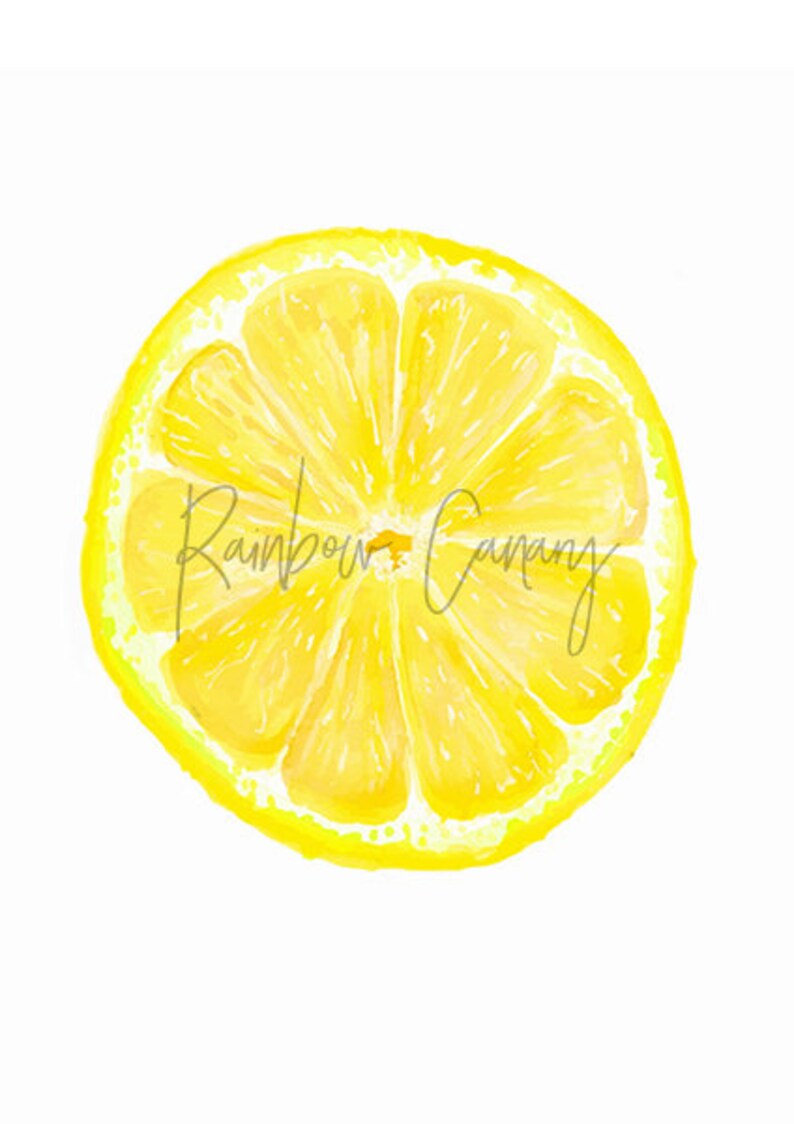 Lemon Slice Printable Citrus Poster Tropical Fruit Wall Art - Etsy