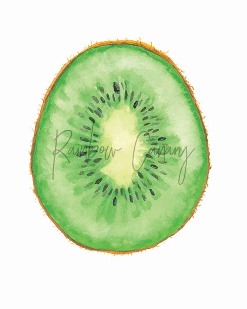 Как нарисовать киви поэтапно