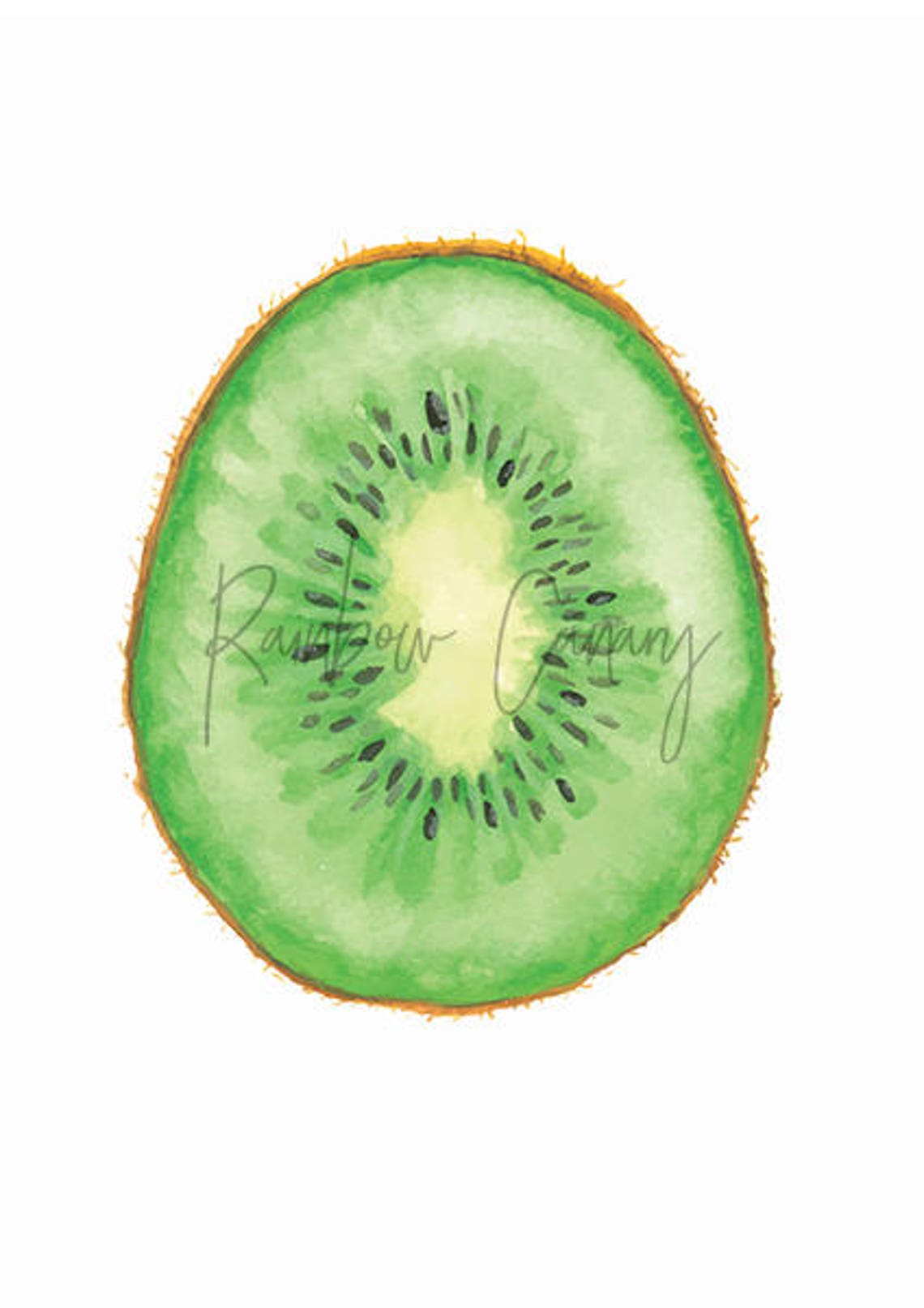 Kiwi Print Tropical Fruit Decor Kiwi Slice Printable Kiwi | Etsy