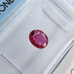 Può includere: Una pietra preziosa ovale rosa in una custodia di plastica trasparente.