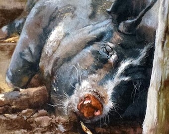 Original pastel painting 12x18 of a sleeping pig Alexandra Wozniak psec