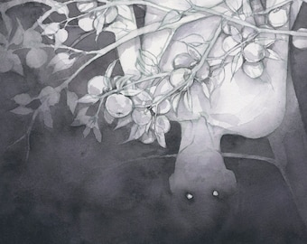 Orchard | Fine Art Print   | Open Edition
