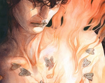 Moths | Fine Art Print   | Open Edition