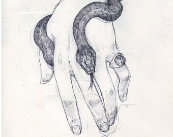 Elegantly Manicured Hands  | Fine Art Print | Open Edition
