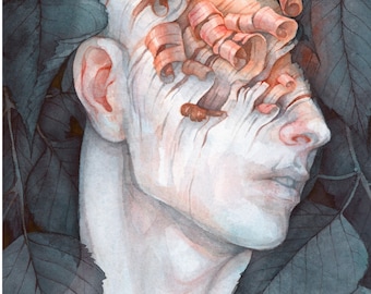 Opal | Fine Art Print   | Open Edition