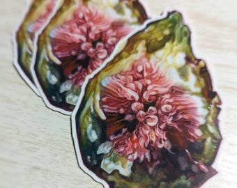 Fig 1 | Sticker