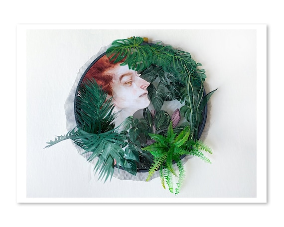Crowley is a Pine Tree Collaboration | Fine Art Print | Open Edition - Etsy