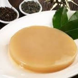 Healthy Kombucha scoby