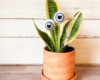 Blue Plant Eyes, Plant Accessory, Felt Eyes, Plant Eyes