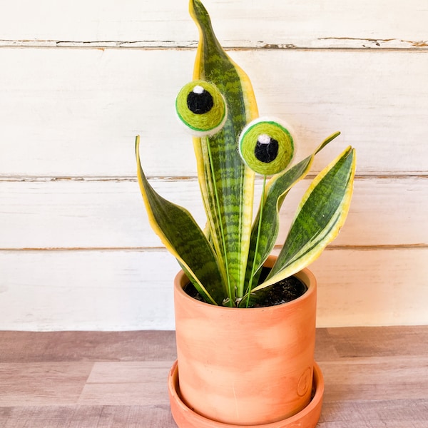 Plant Eyes, Plant Accessory, Felt Eyes