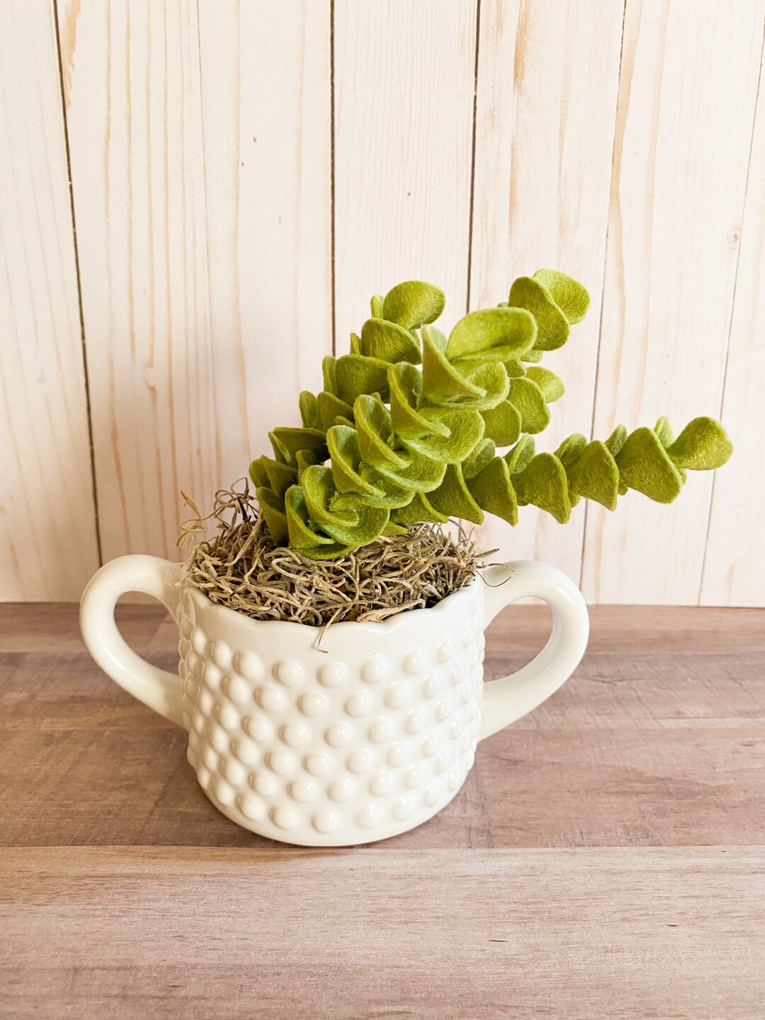 Felt Succulent Felt Plant Faux Houseplant Etsy