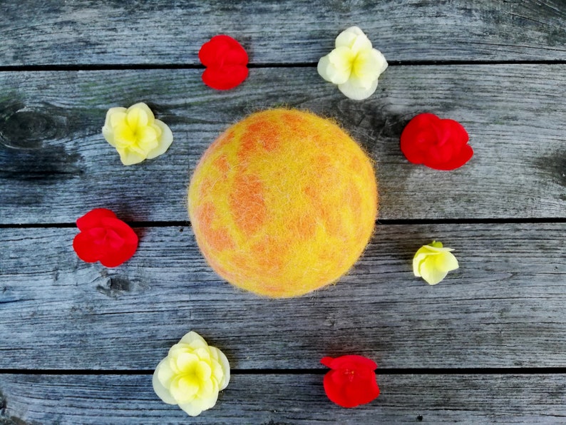 Wooly Felted Ball for Dogs Etsy