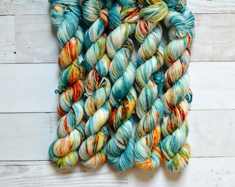 West Coast Hand Dyed Yarn | Speckled Superwash Merino Mini Skein