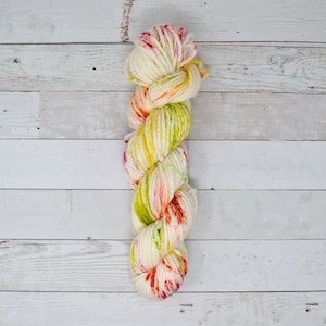 hand dyed yarn | bulky weight yarn | speckled yarn | bulky yarn | speckles | Sweater Yarn | 100% SWM |multi | Season Change