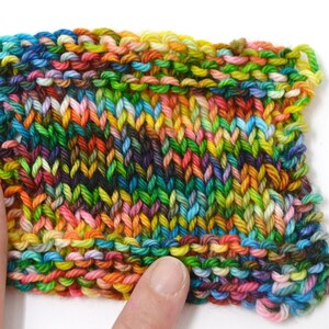 Aubs Worsted hand dyed yarn handdyed yarn hand dyed worsted yarn worsted yarn worsted weight Speckled Yarn Macaw image 3