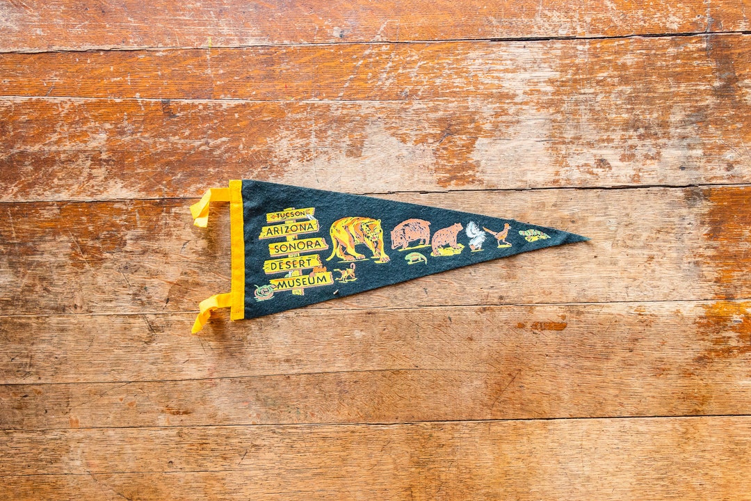 Tucson Arizona Felt Pennant Vintage Sonora Desert Museum Souvenir Etsy