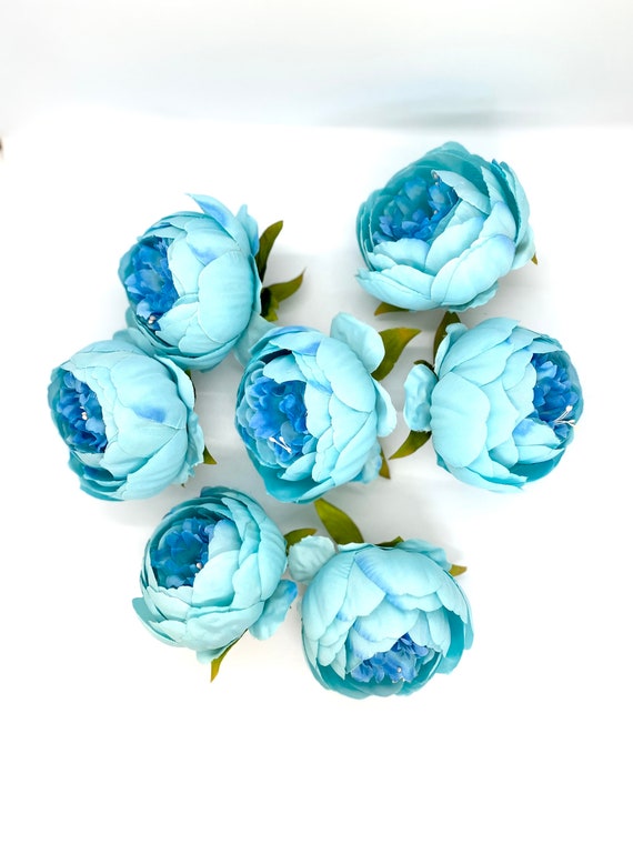 4 Double Peony in Bright Aqua Blue Closed Blue Peony - Etsy New Zealand