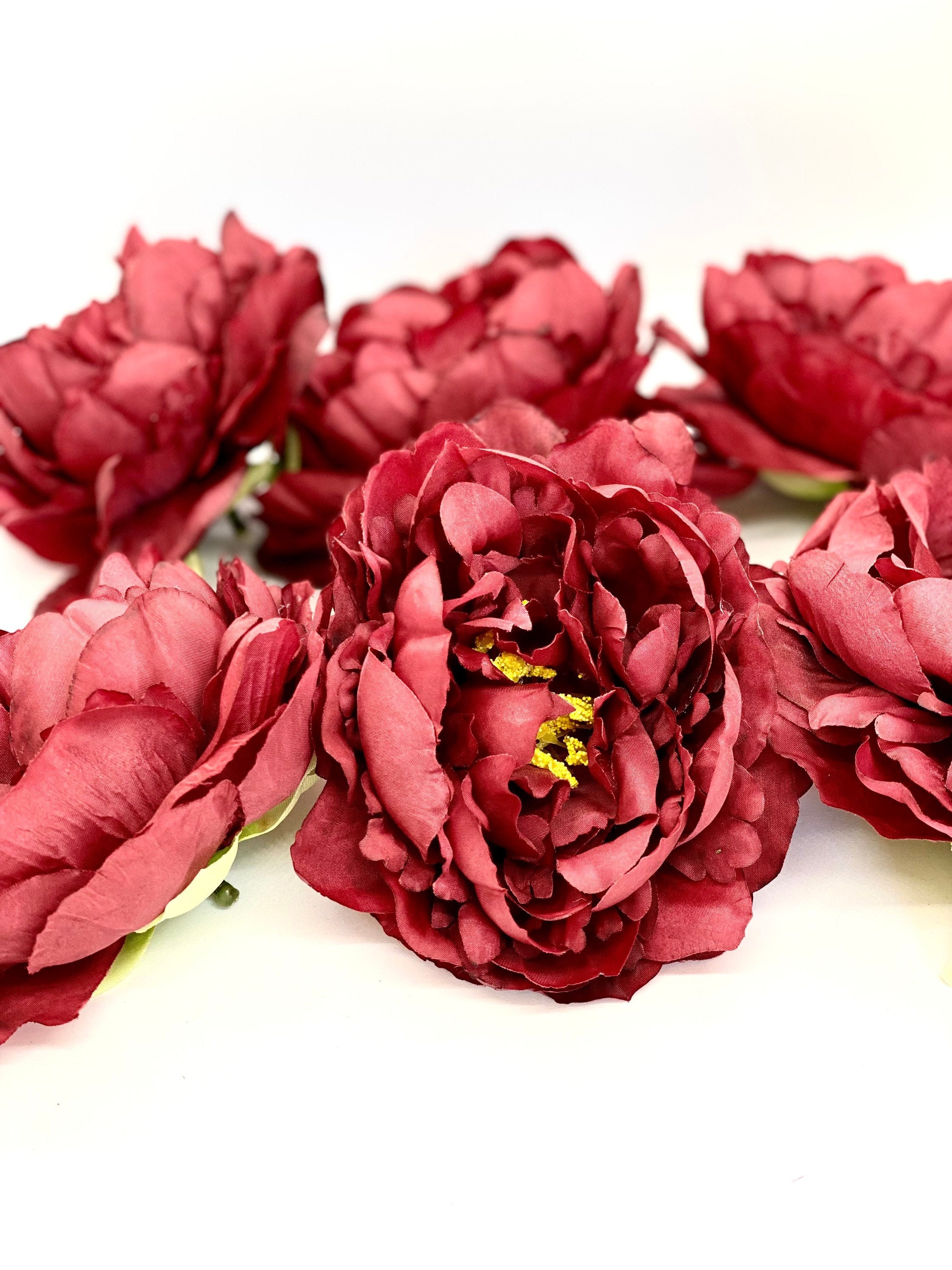 5 Peonía de color rojo profundo Borgoña Peonía Flor de - Etsy México 5 Peonía de color rojo profundo Borgoña Peonía Flor de - Etsy México