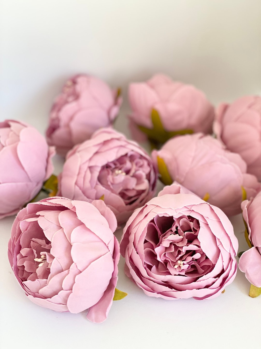 4 Double Peony Pink Lavender Peony Closed Peony Purple - Etsy