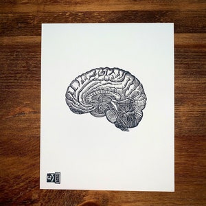 Original Anatomical Brain Linocut block Art Print