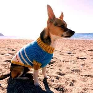 Varsity Doggie Jumper image 2