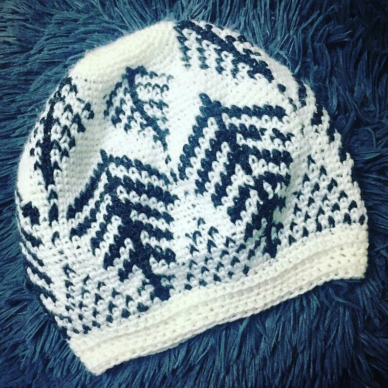 Ferns Beanie Crochet Pattern image 9