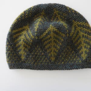 Ferns Beanie Crochet Pattern image 7