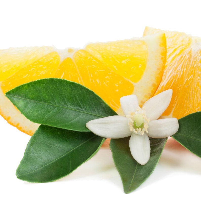 May include: A close-up image featuring segments of orange, vibrant green leaves, and a white orange blossom, set against a white backdrop. The orange slices are a vivid yellow-orange, and the leaves are a deep green. The flower has white petals and a yellow centre.