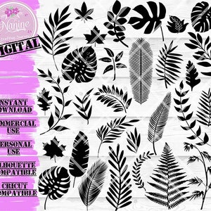Peut inclure: Graphique numérique avec des silhouettes de feuilles noires sur un fond blanc effet bois. L'image présente diverses formes de feuilles, telles que des fougères, des érables et des feuilles tropicales. Le texte comprend "DIGITAL", "TÉLÉCHARGEMENT INSTANTANÉ", "UTILISATION COMMERCIALE", "UTILISATION PERSONNELLE", "COMPATIBLE SILHOUETTE" et "COMPATIBLE CRICUT".