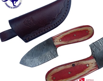 Handmade Damascus Steel 6 inches Skinner Hunting Knife Dyed Wood S34