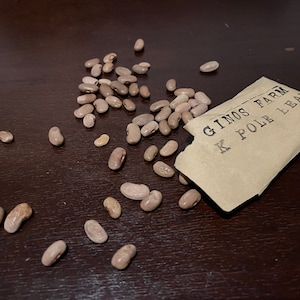 Kentucky Wonder Organic Bean Seeds