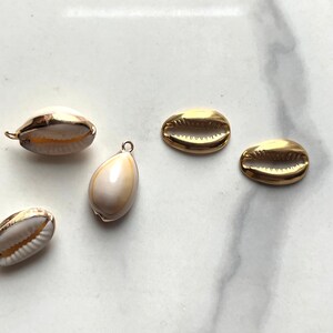 Natürliche Kauri Muschel Charme, geschnitzter Muschel Charme, Seeigel Muschel, Gold Muschel, Strand Perlen, natürliche Muschel, Geld Muschel, Schmuckzubehör