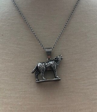 OIDEA Collana Uomo Acciaio Con Ciondolo Testa Di Lupo E Strass Verdi, Catena 22 Pollici