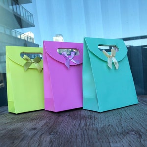 Paper gift bag, paper pouch, ribbon gift bag, blank gift bag, Christmas wrapping, gift bags, wedding favour bag, pink gift bag, baby shower