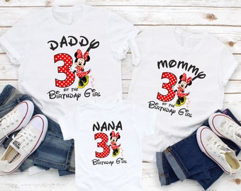 Minnie Custom Birthday Shirt, Minnie Party Shirt, Minnie Mouse Shirt, Birthday Gift, Personalized Birthday Shirt, Custom Text on Shirts