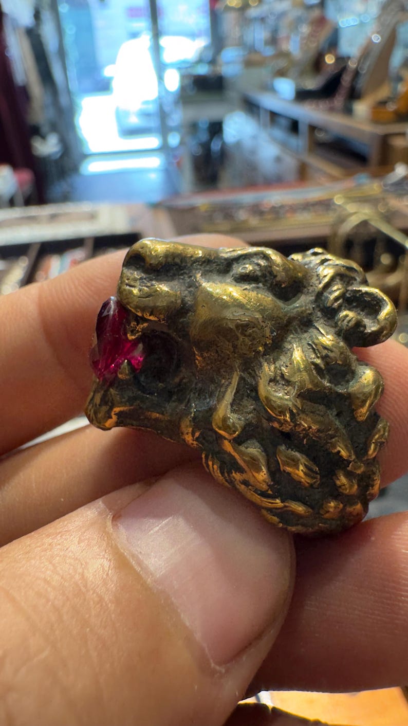 K&ouml;nnte beinhalten: Nahaufnahme eines Messing-L&ouml;wenkopfrings mit einem roten Edelstein. Der Ring weist aufwendige Details auf, die die M&auml;hne und Gesichtsz&uuml;ge des L&ouml;wen hervorheben. Der Ring wird in einer Hand gehalten.