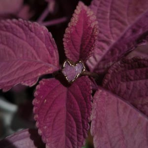 May include: A heart-shaped ring with a gold-colored band and a light purple stone. The ring is set against a backdrop of deep purple leaves, creating a contrast of colors and textures. The ring's design is simple yet elegant.