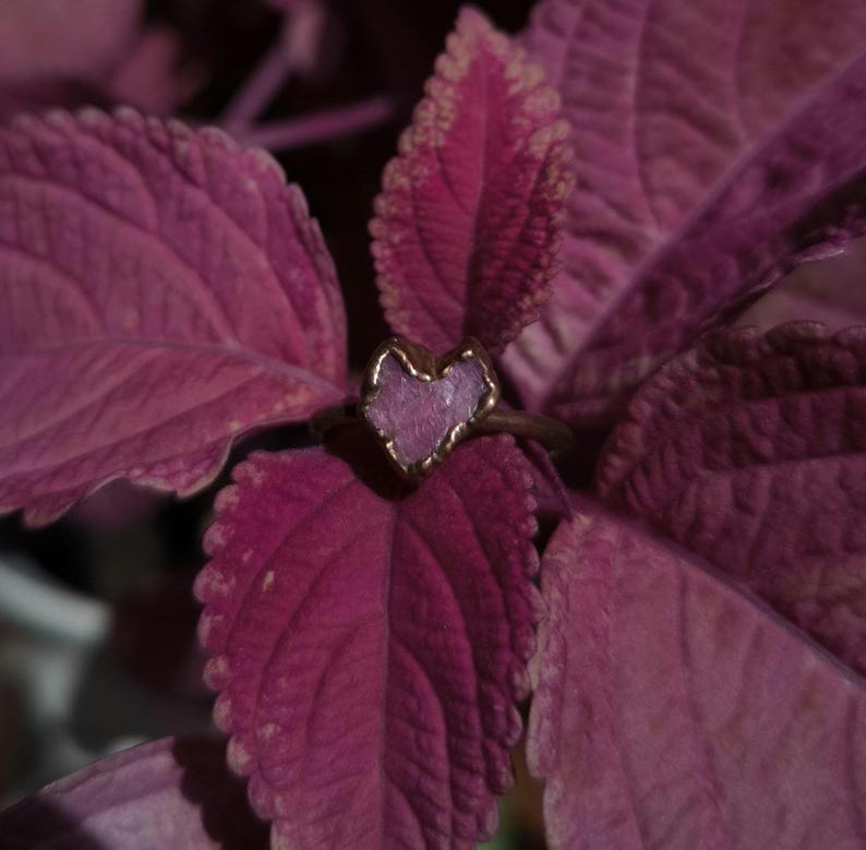 May include: A heart-shaped ring with a gold-colored band and a light purple stone. The ring is set against a backdrop of deep purple leaves, creating a contrast of colors and textures. The ring's design is simple yet elegant.