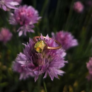 May include: A gold ring featuring a large, irregularly shaped, yellow-green gemstone. The ring is set against a backdrop of blurred purple flowers and green foliage, creating a natural, artistic composition.