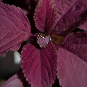 May include: A gold-toned ring with a heart-shaped, light purple stone. The ring is set against a backdrop of deep pink leaves, creating a contrast of colors and textures. The ring's design is simple yet elegant, suitable for everyday wear.