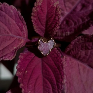 Może przedstawiać: Złoty pierścionek z kamieniem w kształcie serca w kolorze jasnofioletowym. Pierścionek jest umieszczony na tle ciemnofioletowych liści, tworząc uderzający kontrast. Design pierścionka jest prosty, ale elegancki, co czyni go wyjątkową biżuterią.