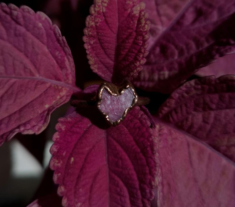 May include: A gold-toned ring with a heart-shaped, light purple stone. The ring is set against a backdrop of deep purple leaves, creating a striking contrast. The ring's design is simple yet elegant, making it a unique piece of jewelry.