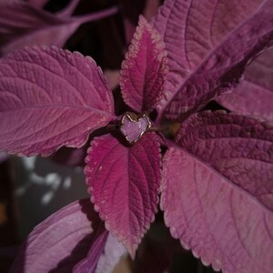 May include: A gold-colored ring with a heart-shaped, light purple stone is nestled among deep purple leaves. The ring's setting appears to be a delicate, organic design. The leaves have a textured surface and a lighter pink edge.