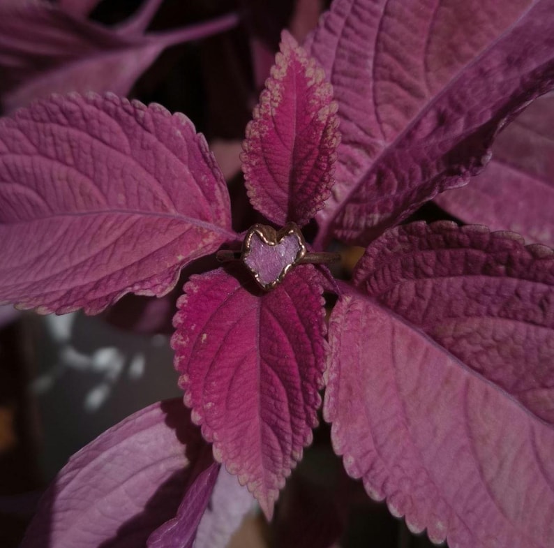 May include: A gold-colored ring with a heart-shaped, light purple stone is nestled among deep purple leaves. The ring's setting appears to be a delicate, organic design. The leaves have a textured surface and a lighter pink edge.