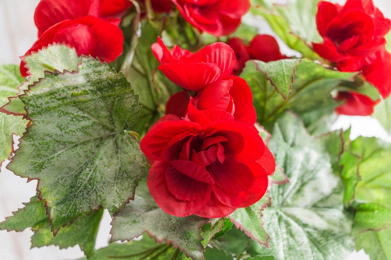 Faux Wedding Flowers Wedding Centerpieces Spring Deco Artificial Craft Floral Supplies 23612 pcs 16 Polyester Red Begonia Bush Bouquet
