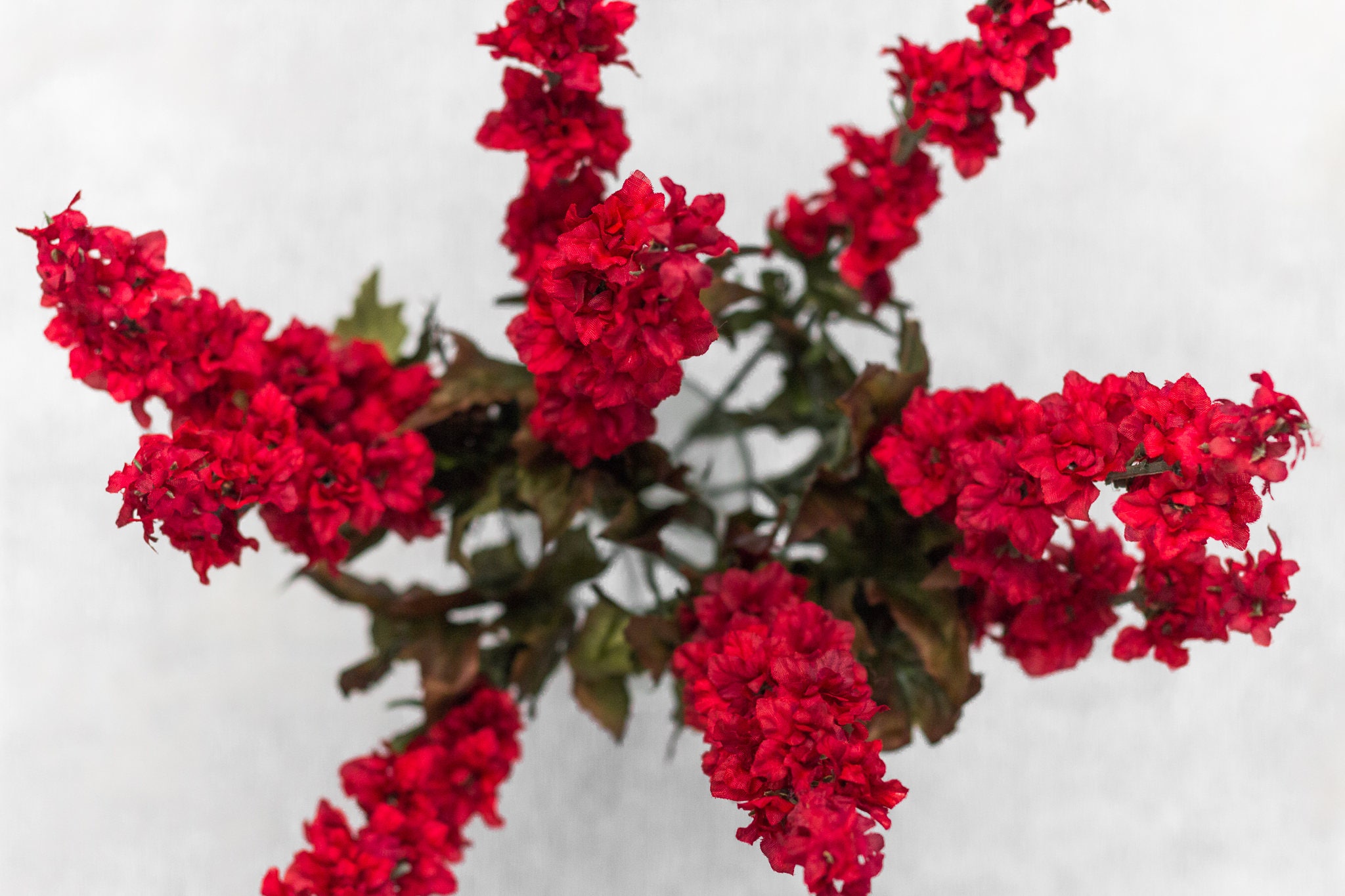 1/2/3/6/12 pcs 25.5 Red Larkspur Bush 7 Stems Etsy