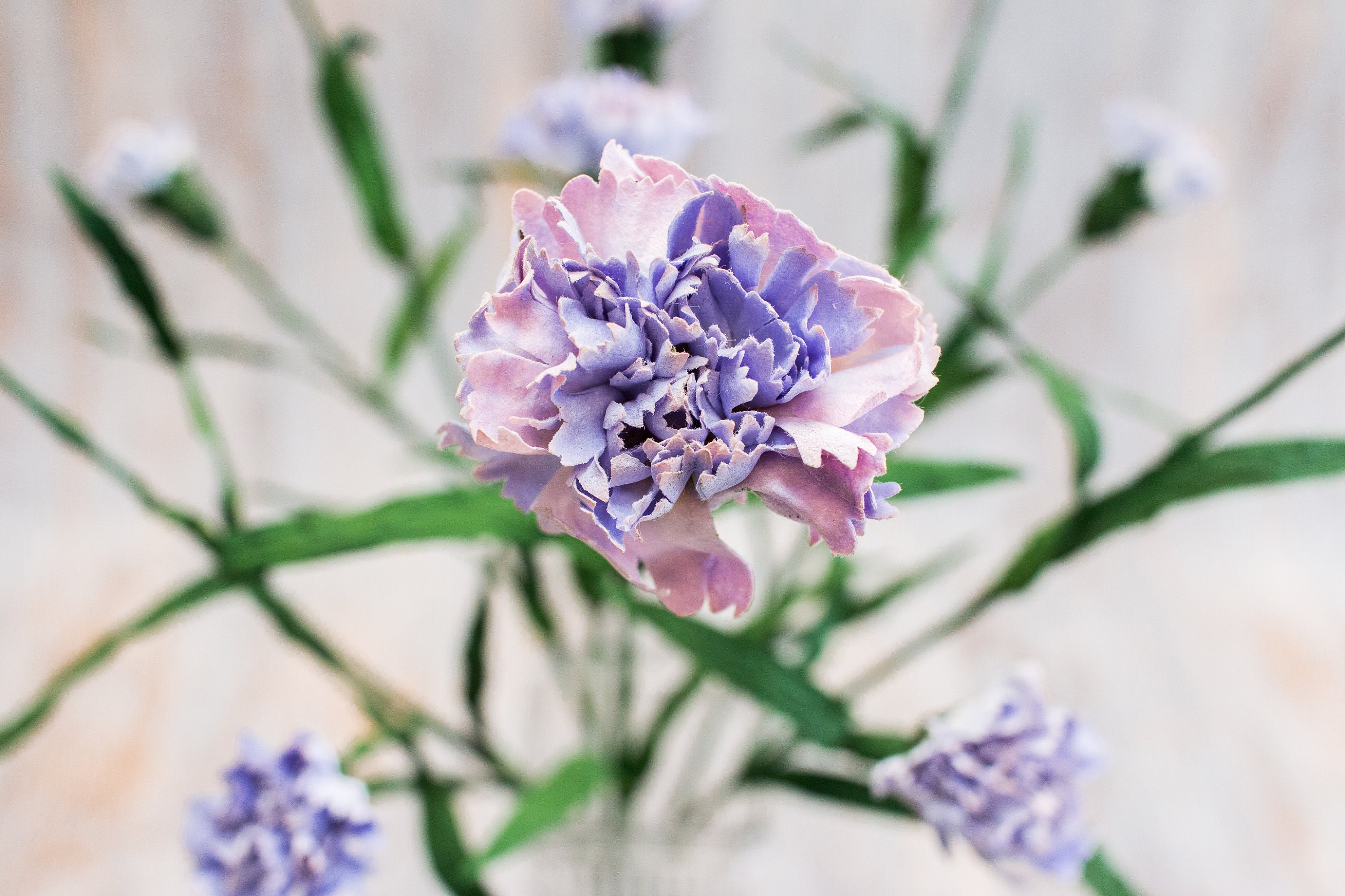 6 12 24 Pcs 21 Pink Purple White Carnation Stems Spray Etsy