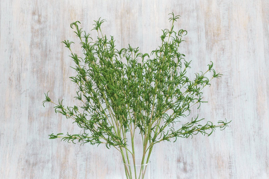 6 OR 12 Pcs 28 Green Polyester Foam Leaf Spray Etsy